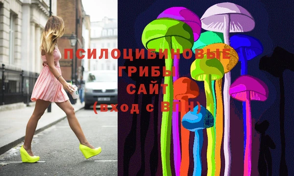 ALPHA PVP Осинники